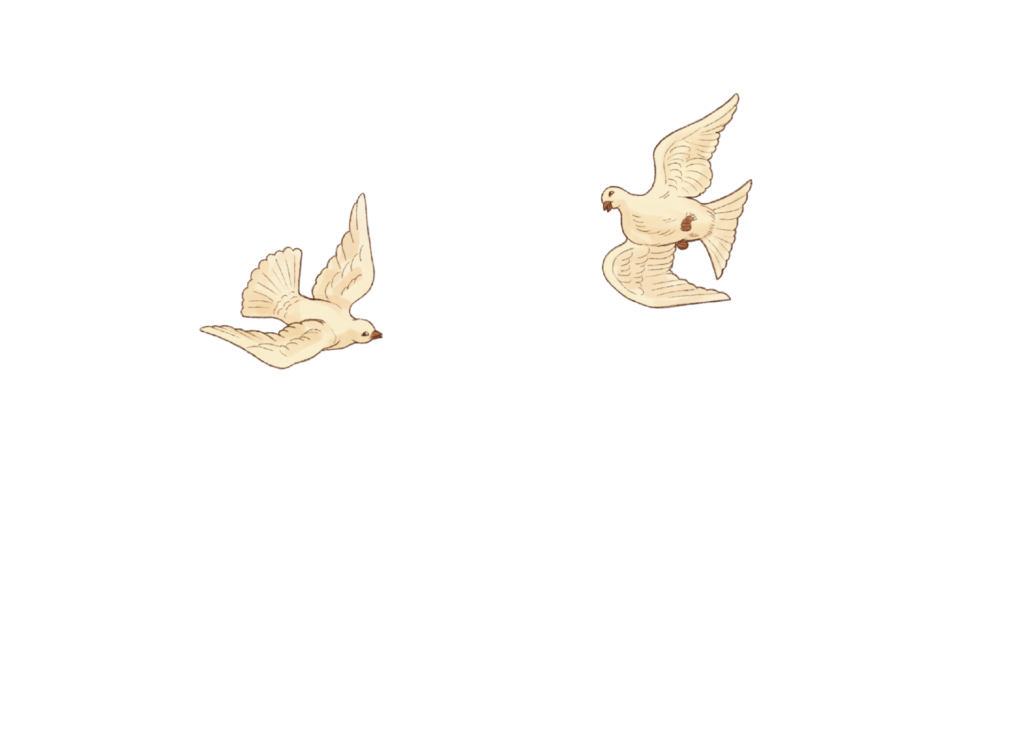 colombe